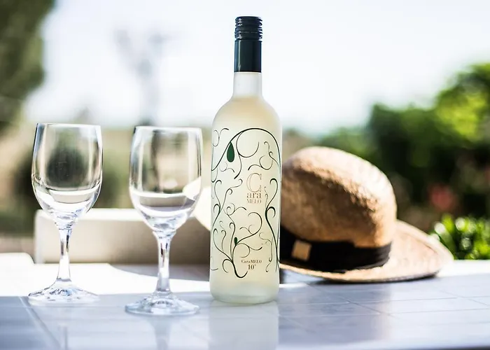 Avgerou Studios&apartments * Psakoudia