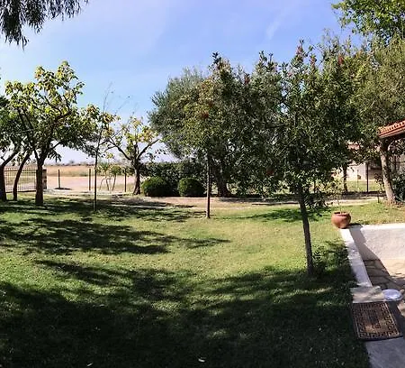 Avgerou Studios&apartments