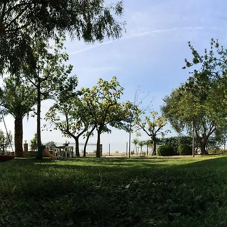 Avgerou Studios&apartments